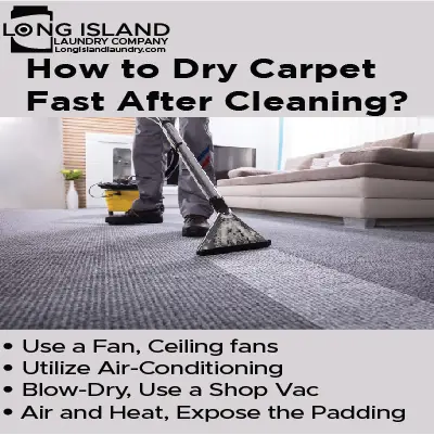 how to dry carpet fast after cleaning