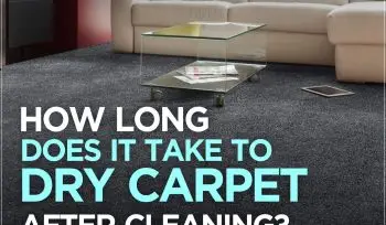 How Long Does It Take to Dry Carpet After Cleaning