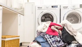 professional laundry services